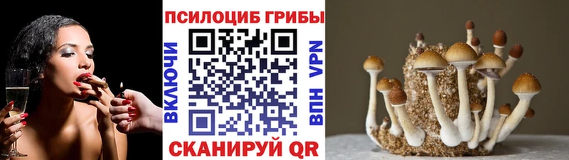 ОМГ ОМГ как зайти  хочу   shop клад  Псилоцибиновые грибы Psilocybine cubensis  Баксан 