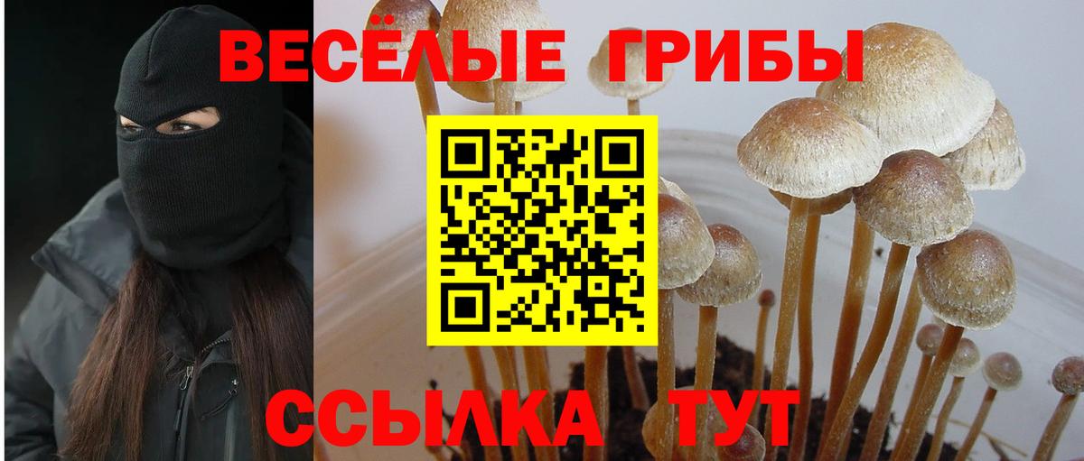 Галлюциногенные грибы мухоморы Баксан