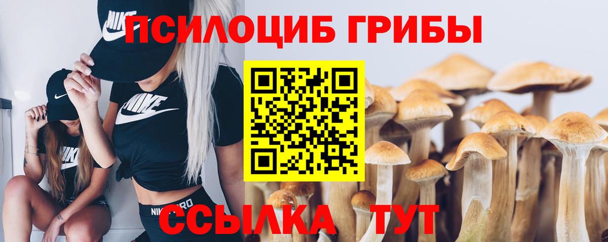 Баксан  Псилоцибиновые грибы мицелий  Вход с VPN  Галлюциногенные грибы GOLDEN TEACHER 